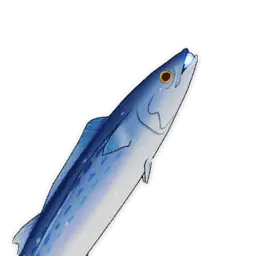 Sovrano marino